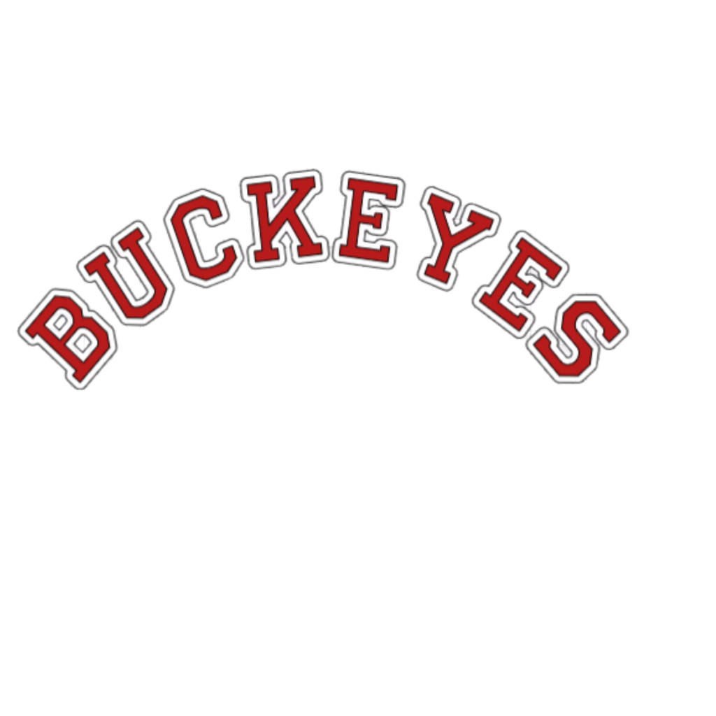 OSU Hooded Sweatshirt -Choose between 3 OSU Logos