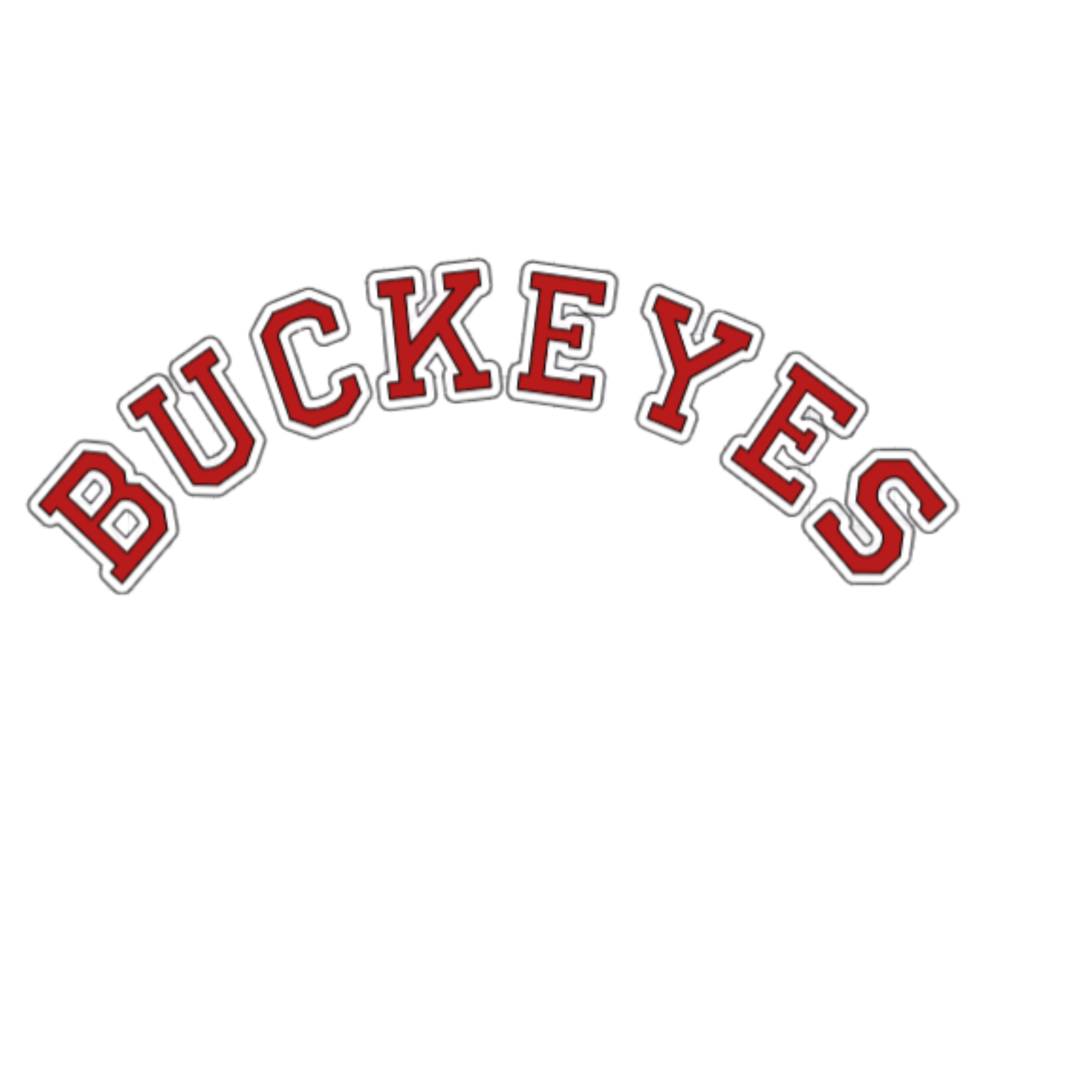 OSU Hooded Sweatshirt -Choose between 3 OSU Logos