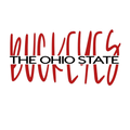 OSU Hooded Sweatshirt -Choose between 3 OSU Logos